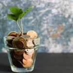 glass pot filled with coin money with a green seedling growing out of the money